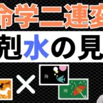 【算命学占い】二連変化土剋水の見方！財と知性がぶつかり合う運勢