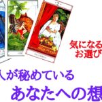 🌹恋愛タロット・オラクル占い🌹【お相手様の見えない本心を見てみました】あの人が秘めている、あなたへの想い