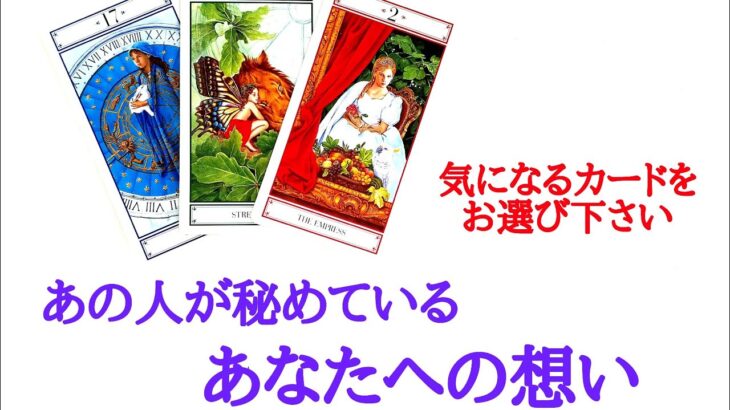 🌹恋愛タロット・オラクル占い🌹【お相手様の見えない本心を見てみました】あの人が秘めている、あなたへの想い