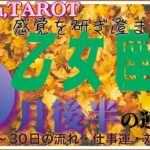 人間関係の入れ替わり⁉️待っているのは幸せ💖乙女座♍️さん【9月後半の運勢✨16日〜30日の流れ・仕事運・対人運】#2024 #星座別 #タロット占い