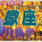 出会いと別れで知ることがある🤝蠍座♏️さん【9月後半の運勢✨16日〜30日の流れ・仕事運・対人運】#2024 #タロット占い #星座別