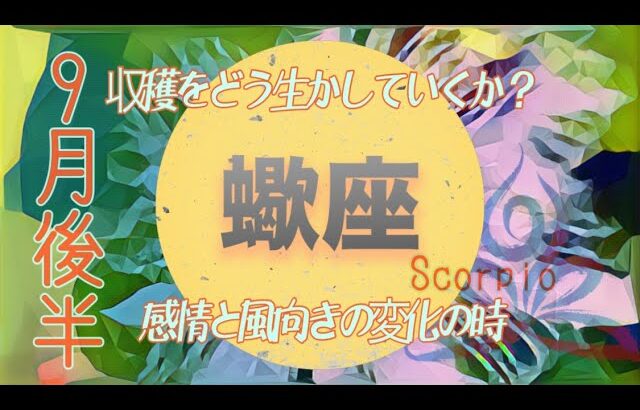 【9月後半✴︎蠍座】三位一体、整えて改革的になる💫思いがけないチャンスと豊かさ！！いつもの場所ややり方を抜け出して🔥【2024】