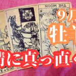 牡羊座　９月後半　欲しいものが色々あるけどどれか一つずつ解決していく　優先順位を決めることが大事