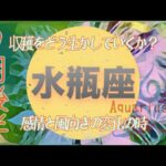 【９月後半✴︎水瓶座】魂がホッとする夜明け✴︎気持ちが満ちる豊かさ　なるべくして今があると感じる繋がり💫【2024】