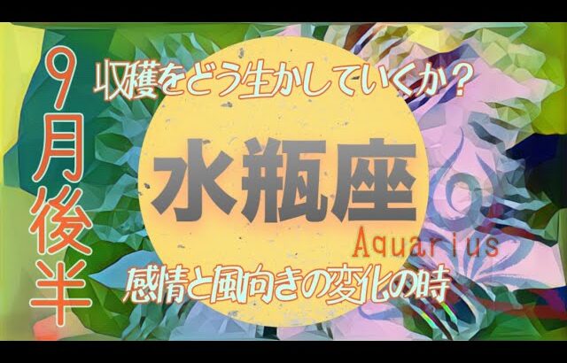 【９月後半✴︎水瓶座】魂がホッとする夜明け✴︎気持ちが満ちる豊かさ　なるべくして今があると感じる繋がり💫【2024】