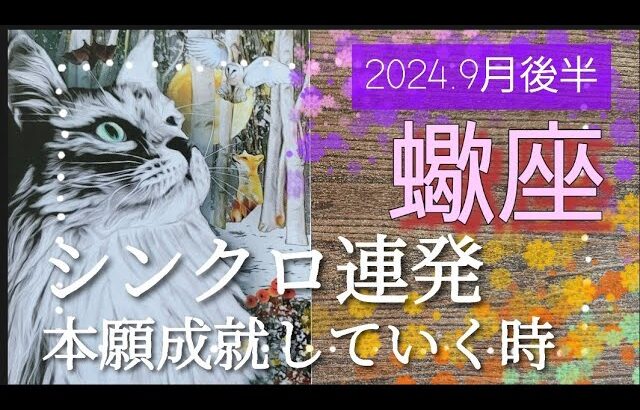 【９月後半🍀】蠍座さんの運勢🌈シンクロ多発！！本願成就✨あなたの本当の望みを叶えていくフェーズへ✨💛✨