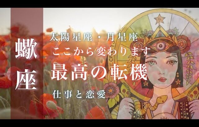 ♏️蠍座🌙9/15~10/15🌟実力で可能性を広げる 過去を乗り越えしあわせの道へ 地に足のついた未来🌟しあわせになる力を引きだすタロットセラピー