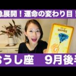 おうし座♉️9月後半🔮急展開！✨運命の変わり目！今すぐ動き出して！