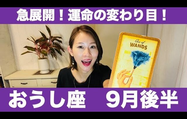 おうし座♉️9月後半🔮急展開！✨運命の変わり目！今すぐ動き出して！