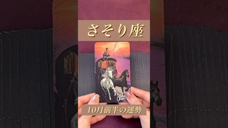 【さそり座】2024年10月前半の運勢★ダイジェスト〜しっかり進んでいるので迷うことを恐れず挑戦しよう‼️