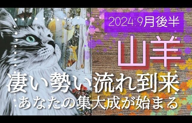 【９月後半🍀】山羊座さんの運勢🌈凄い勢いと流れが到来✨✨あなたの集大成が始まっていく😳！！