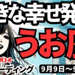 【魚座】♓️2024年9月9日の週♓️心に向き合う週。わたしの幸せ、大きな発見がある時。タロットリーディング