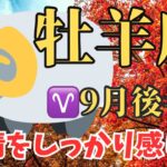 【牡羊座9月後半のメッセージ】感情をしっかり感じて事実を冷静に分析する