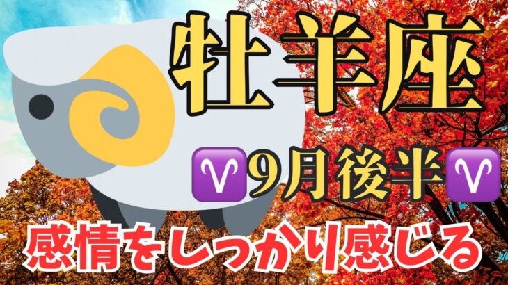 【牡羊座9月後半のメッセージ】感情をしっかり感じて事実を冷静に分析する