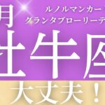 2024年10月【牡牛座】起こること～大丈夫！～【恐ろしいほど当たるルノルマンカードリーディング＆アストロダイス】