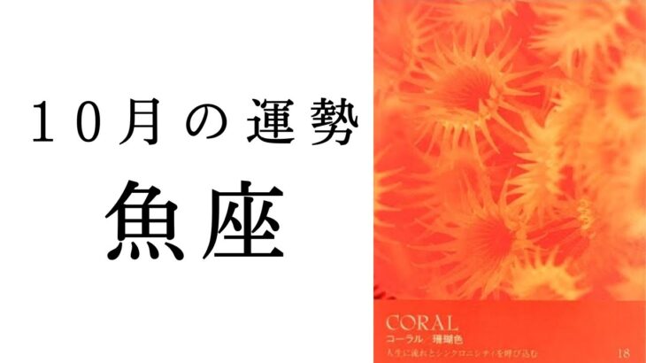 【魚座🌙10月の運勢】過去一の神展開連発😳奇跡のループについに突入🌈✨2024年タロット占い