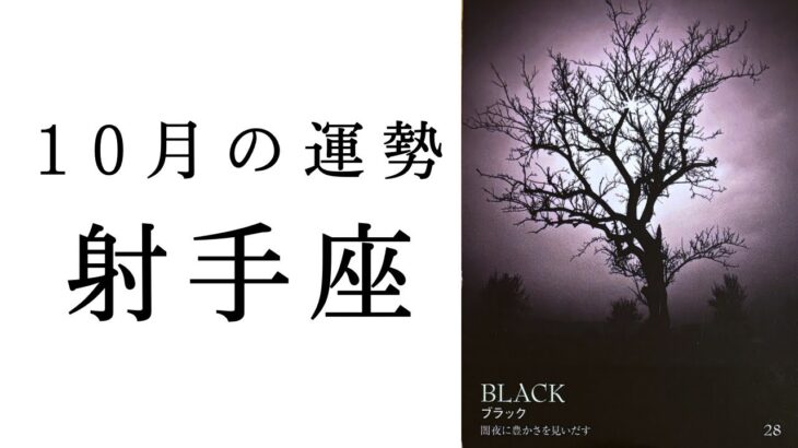 【射手座🌙10月の運勢】鳥肌が止まらないストーリー展開！運命の変わり目に来てます！2024年タロット占い
