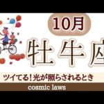 牡牛座さん♉最高に豊かな10月！どんどんレベルアップ