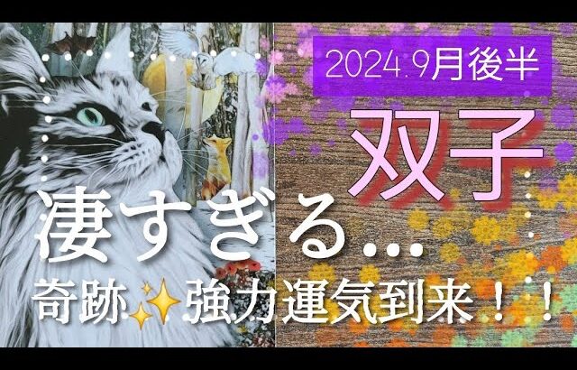 【９月後半🍀】双子座さんの運勢🌈凄すぎます…😳奇跡✨強力運気到来！！前回よりさらにパワーを増してます。言葉がありません💦