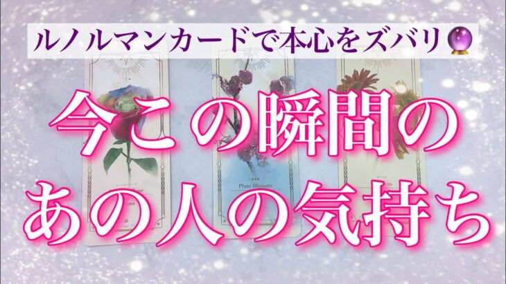 【最新✨恋愛💖】今この瞬間のあの人の気持ち💖ルノルマンカードでズバリ❣️リーディングします🔮💫