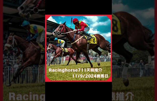 🐎【天機賽馬推介11/9/2024香港賽馬日｜賽馬預測｜racinghorse711｜Szemei711