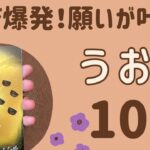 【魚座】すごい❗️願ったり叶ったり‼️いくつもの願いが叶う✨遠慮しないで受け取って❗️