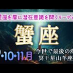 蟹座♋️相手が受け取れる形で、愛を小出しにしていく。感情を表現し解放する。身近な人をお手本に急成長を遂げる。#かに座#2024年9月蟹座 #カードリーディング #ホロスコープ #月間占い #月読み