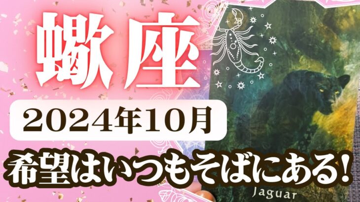 【さそり座♏️2024年10月】🔮タロットリーディング🔮〜希望はいつもそばにあるんです✨〜