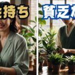 【風水】 観葉植物の使い方がこんなに違う！お金持ちと貧乏な人の違い 5選