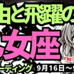 【乙女座】♍️2024年9月16日の週♍️自由と飛躍の時。頭の中で作った制限を取り払い、大復活していく私。タロットリーディング