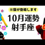 射手座は必見⚠️10月めちゃくちゃ重要な月になります！！大天使降臨🪽大いなる祝福が降り注ぐ。全体運勢♐️仕事恋愛対人不安解消評価と印象【個人鑑定級タロットヒーリング】