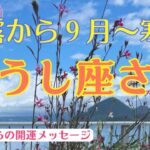 【秋から開運🍀】笑顔と喜びが満ちる⭐️魂に栄養補給して✨✨✨おうし座さん♉️白露から9月🌰〜寒露🍁自然界からの開運メッセージ🍀