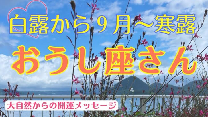 【秋から開運🍀】笑顔と喜びが満ちる⭐️魂に栄養補給して✨✨✨おうし座さん♉️白露から9月🌰〜寒露🍁自然界からの開運メッセージ🍀