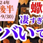 【蠍座】2024年9月後半さそり座のタロットでわかる運勢～凄すぎて…ヤバいです！～