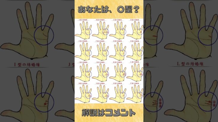 結婚線シリーズ🤵💒🤵‍♀️#占い師 #占い #開運手相鑑定士 #手相鑑定士 #手相鑑定 #手相リーディング #手相 #手相占い #恋愛相談