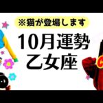 乙女座の１０月、鳥肌級の星がついている‼️うれしい急展開アリ⁉️愛され運No. 1💖全体運勢♍️仕事恋愛対人不安解消評価と印象【個人鑑定級タロットヒーリング】