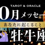 【牡牛座♉️10月運勢】感涙です🥲大解放のとき🕊️✨心配いらない！あなたはもっと楽に生きられます！