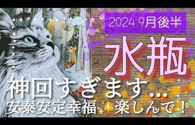 【９月後半🍀】水瓶座さんの運勢🌈今回も神回すぎました…😳安泰安定幸福✨思う存分楽しんで！！！