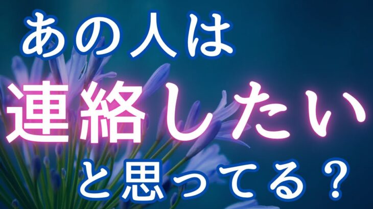 あの人は連絡したいと思ってる？💓恋愛タロット占い