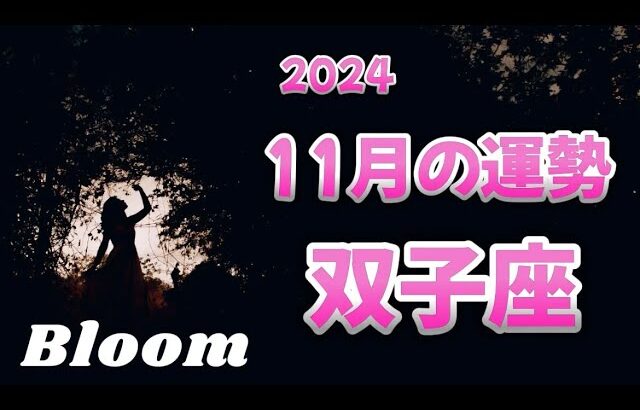 ♊️双子座  【11月の運勢】  自分軸をしっかりと🌈自分への優しさ✨ご褒美も❤️