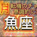 [魚座11月] 転機のチャンス、大胆に意識的に行動出来る時[宇宙からのメッセージ]