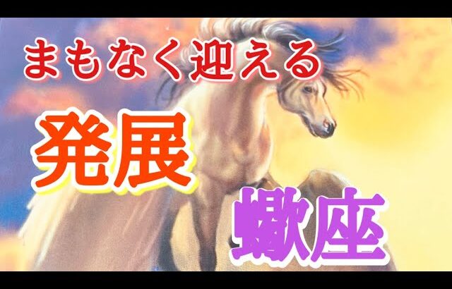 #蠍座♏️さん💐あなたの感情大切に💐【#まもなく迎える発展✨】※見た時がタイミング✨受講生&柊葵対面鑑定限定2名大募集【タロット実践型講座&引き寄せランチ会🍽️】詳しくは公式窓口まで💌