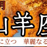 山羊座　2024年１１月　あとは思いきりと勇気だけ　　大丈夫　あなた様ならできます