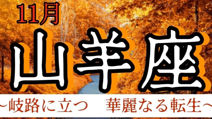 山羊座　2024年１１月　あとは思いきりと勇気だけ　　大丈夫　あなた様ならできます