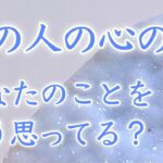 【恋愛タロット】あの人の心の声、あなたの事をどう思ってる？🩵✨ 【タロットオラクルルノルマンリーディング】