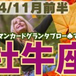 ❤️🕊️【おうし座♉さん】🌄《11月1日～11月15日》11月前半リーディング🌱2024年12星座別🔮牡牛座運勢✨♠ルノルマンカードグランタブロー♠タロットカード・オラクルカードもみていきましょう🔮