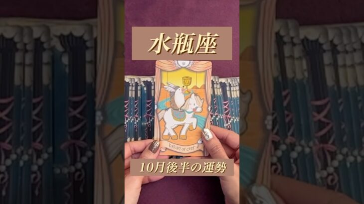 【水瓶座】2024年10月後半の運勢★ダイジェスト〜真面目にこつこつ続けていたことが認められる‼️