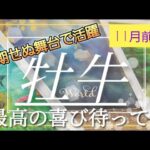 【11月前半🍀】牡牛座さんの運勢🌈最高の喜びが待ってある！！予期せぬ舞台で活躍成功へ✨✨流れに身を委ねてみて💛