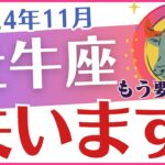 【牡牛座】2024年11月のおうし座の運命を占う🔮星✨とタロットの導きで明かされる🤩未来🚀「失います😰」