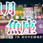 魚座11月の運勢タロット占い🌈お仕事は思った以上の成果が❗️喜び分かち合えます💖